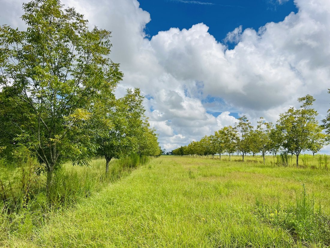 Land In Bainbridge In Attapulgus - 1100xxs 