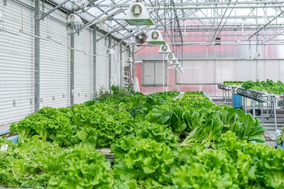 Farm Ranch in Sheboygan, Wisconsin, United States 4 - 15904486