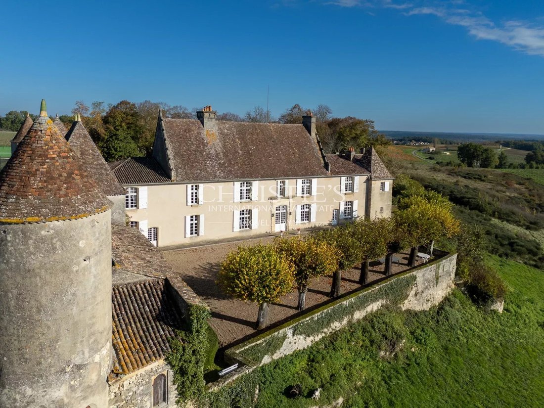 Farm Ranch in Castillon-la-Bataille, Nouvelle-Aquitaine, France 3 - 15117208