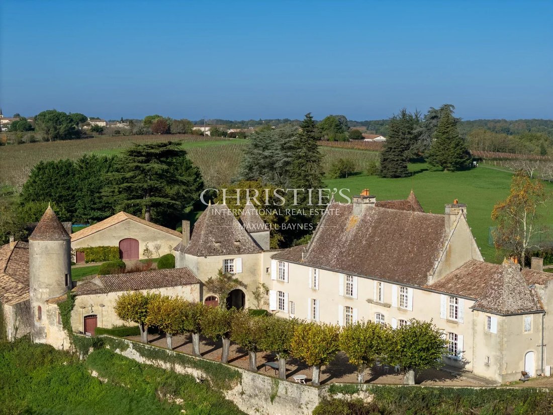 Farm Ranch in Castillon-la-Bataille, Nouvelle-Aquitaine, France 1 - 15117208