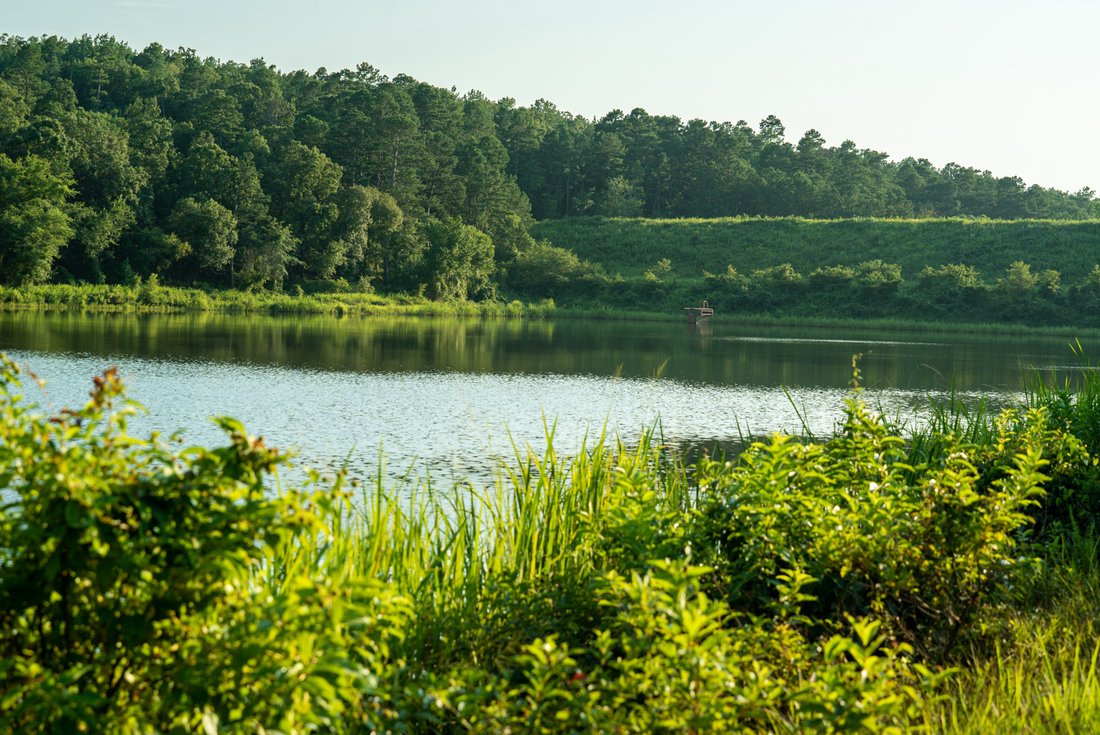 Land in Waldron, Arkansas, United States 4 - 15905805