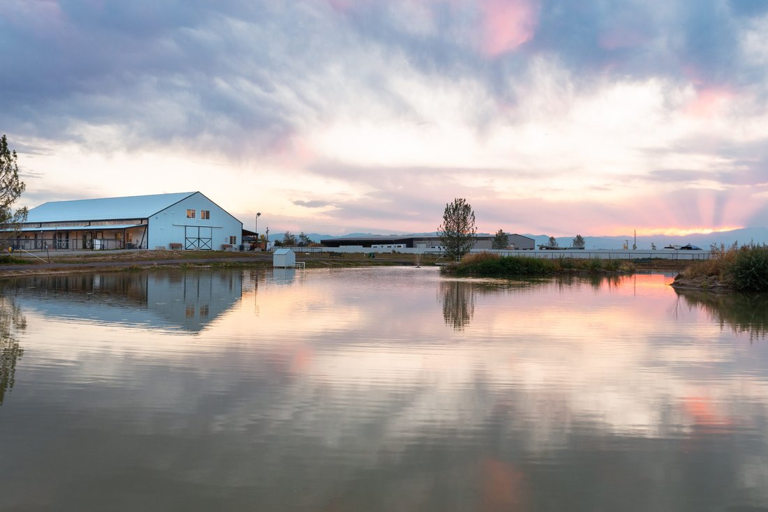 House in Erie, Colorado, United States 1 - 15905776