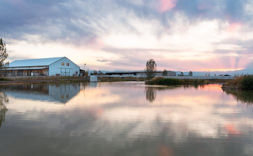 House in Erie, Colorado, United States 1