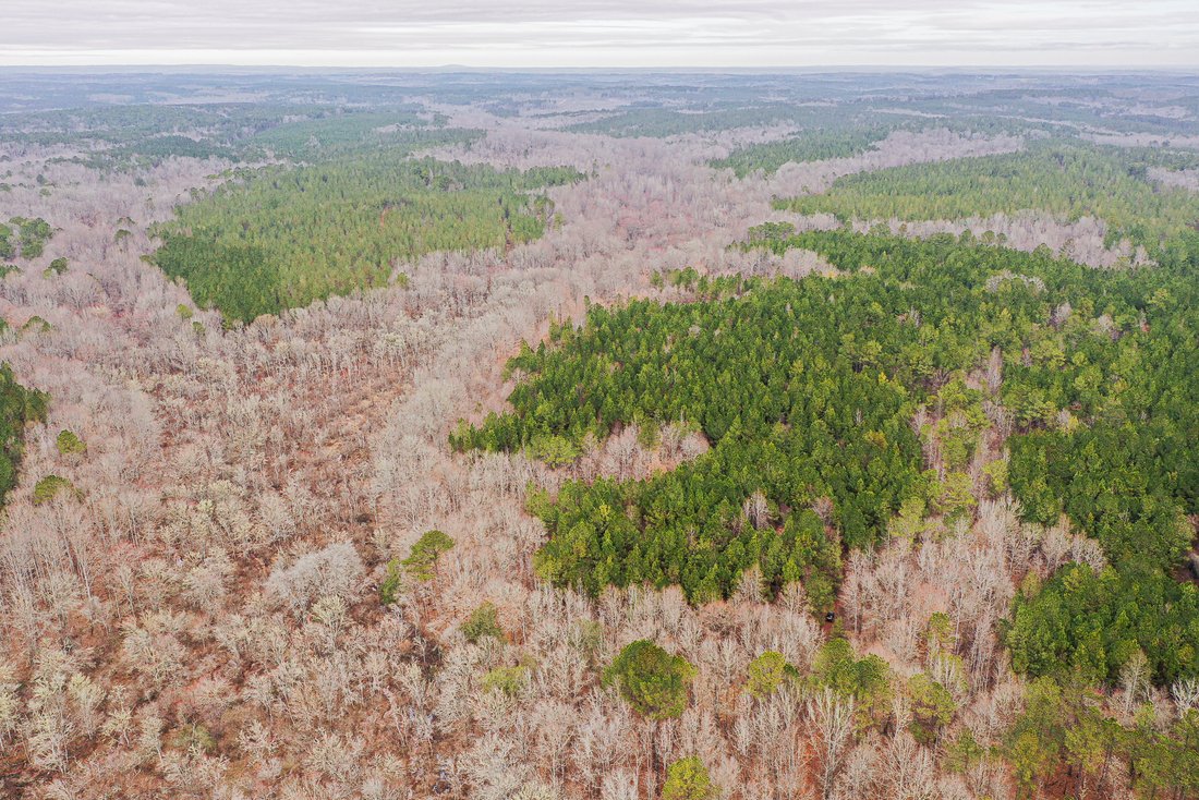 Land In Franklin In Franklin Georgia - 1100xxs 