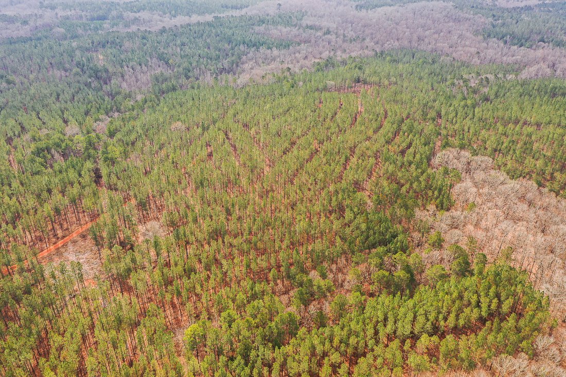 Land in Franklin, Georgia, United States 2 - 15905662