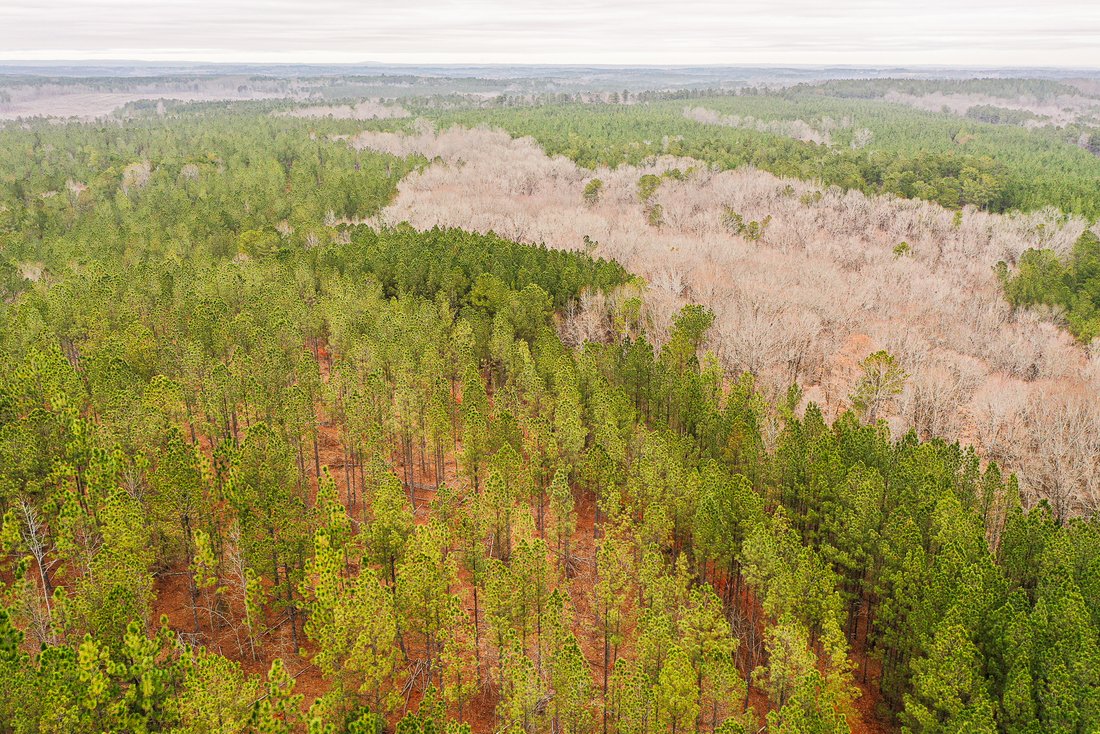 Land in Franklin, Georgia, United States 4 - 15905662