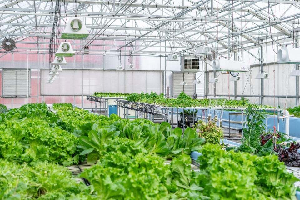 Farm Ranch in Sheboygan, Wisconsin, United States 5 - 15904486