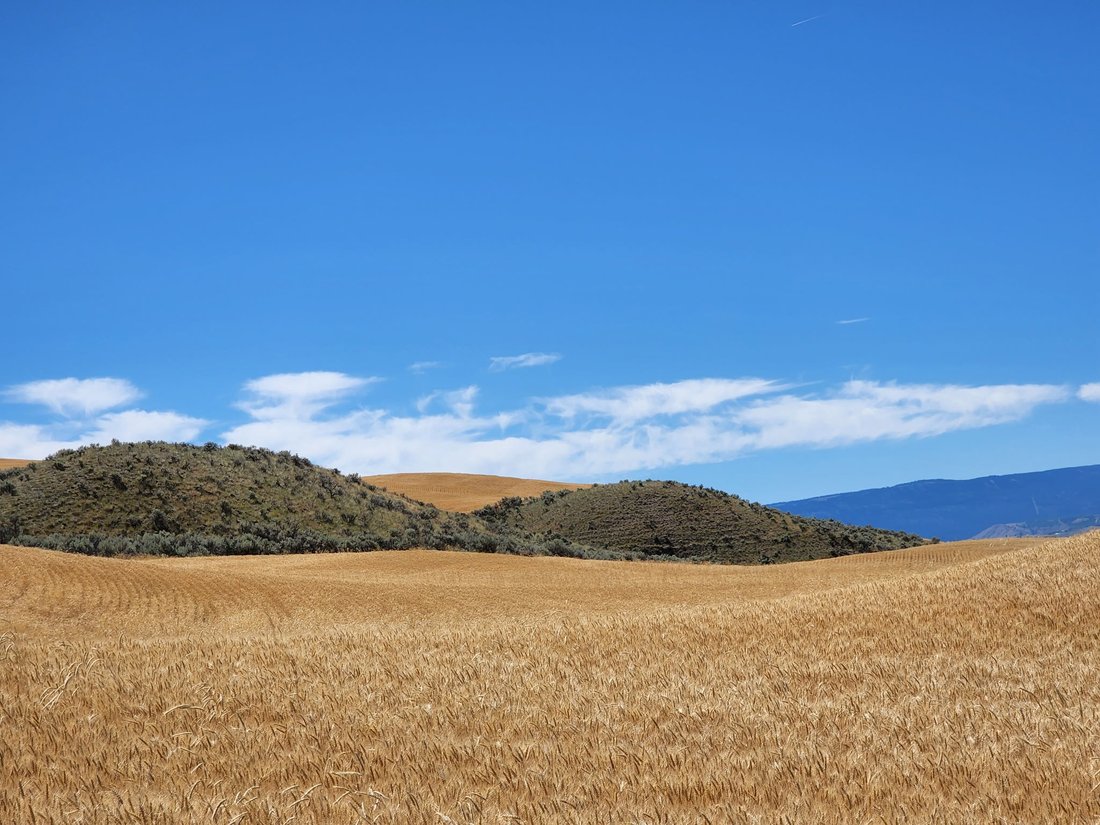 Land in East Wenatchee, Washington, United States 5 - 15905820