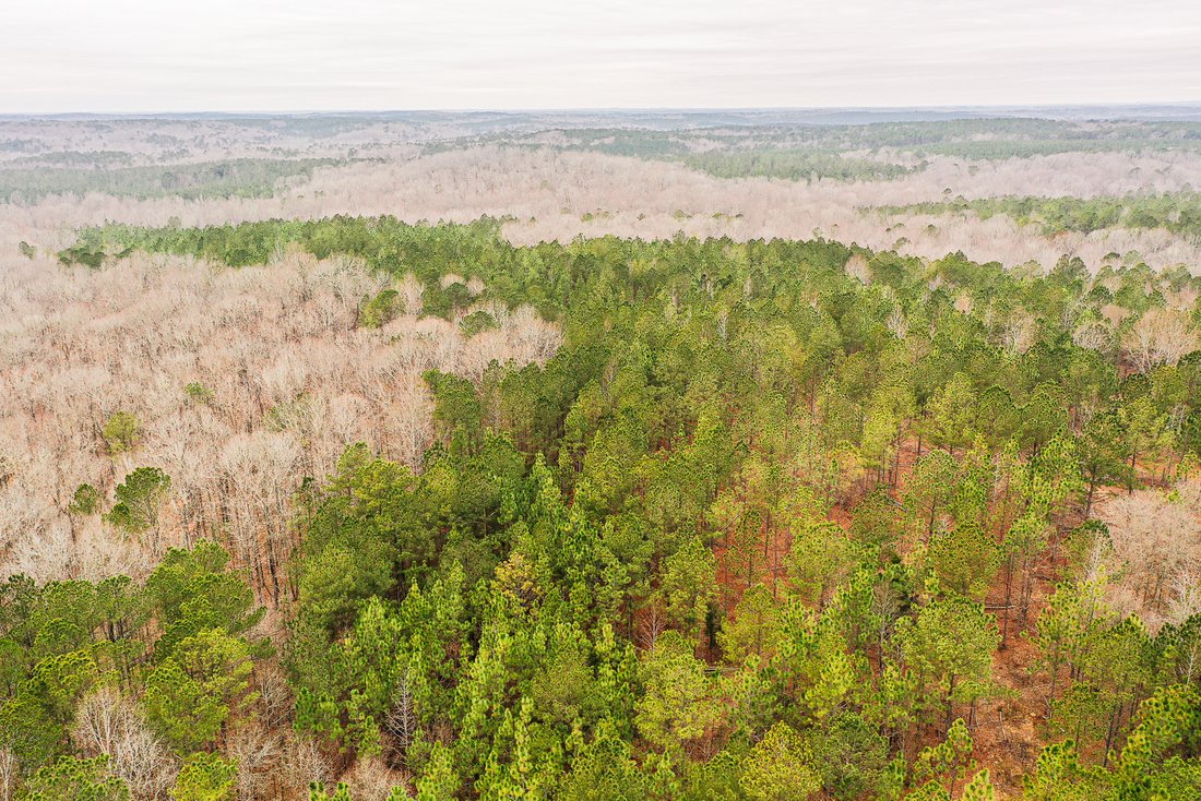 Land in Franklin, Georgia, United States 1 - 15905662