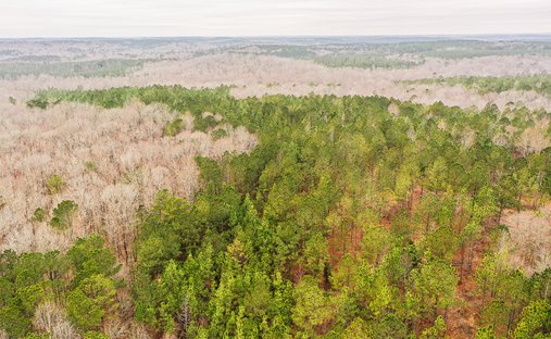 Land in Franklin, Georgia, United States 1