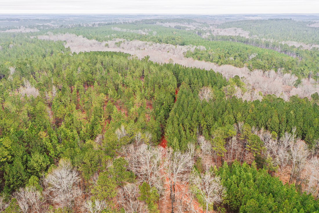 Land in Franklin, Georgia, United States 5 - 15905662