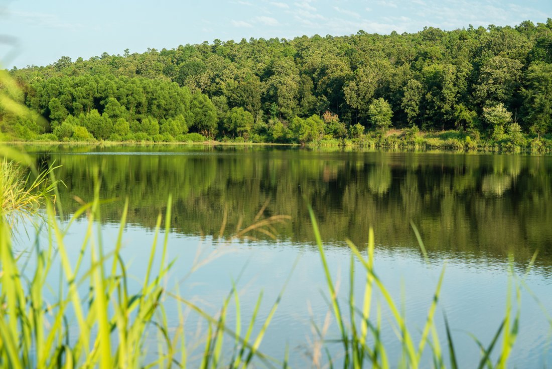 Land in Waldron, Arkansas, United States 3 - 15905805
