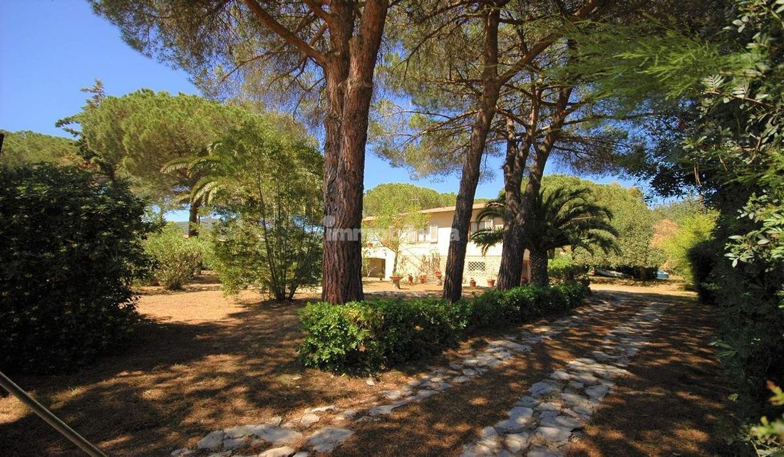 Villa in Capoliveri, Tuscany, Italy 3 - 15907656