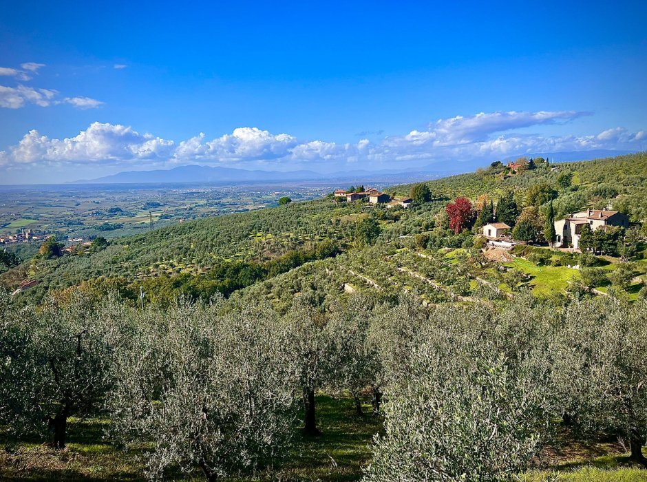 Villa in Sant'Ansano, Vinci, Tuscany 2 - 15908838