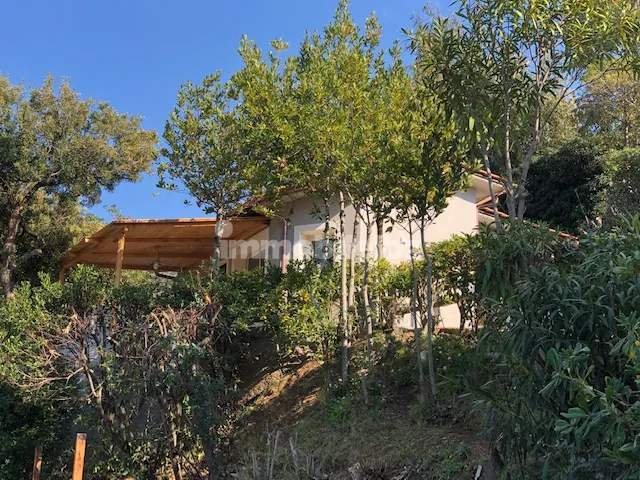 House in Capoliveri, Tuscany, Italy 2 - 15909037