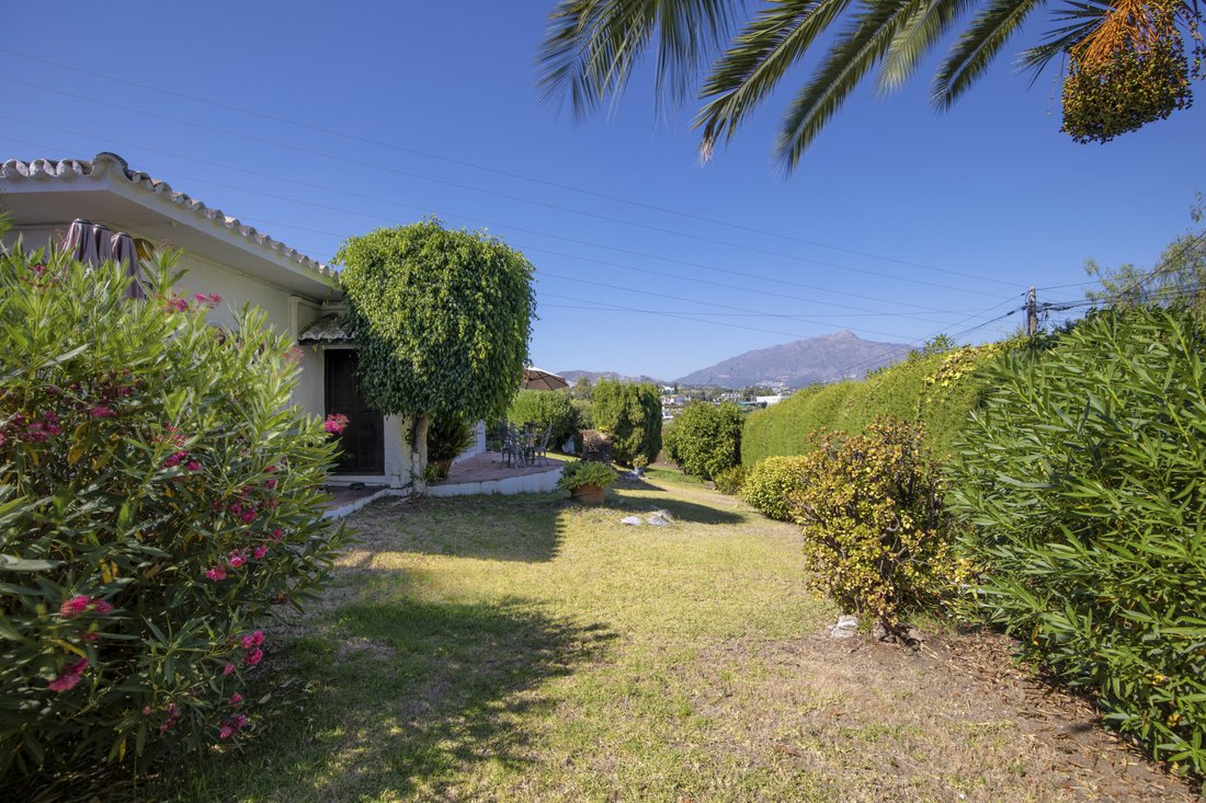 Villa in Guadalmina Alta, San Pedro de Alcantara, Spain 1 - 15906440