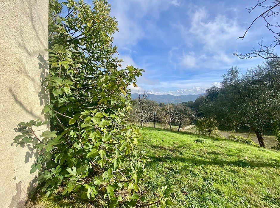 House in Vicchio, Tuscany, Italy 4 - 15908357