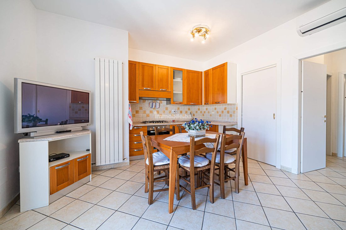 Apartment in Porto Azzurro, Tuscany, Italy 3 - 15908733