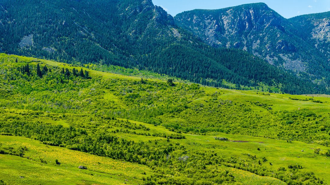 Azienda agricola a Big Horn, Wyoming, Stati Uniti 3 - 15906456