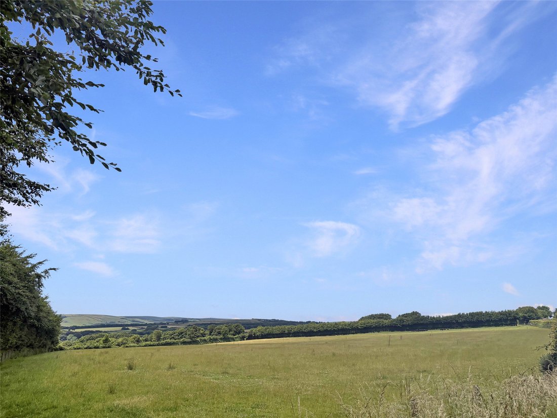 Land in Exmoor, Exford, England 3 - 15909043