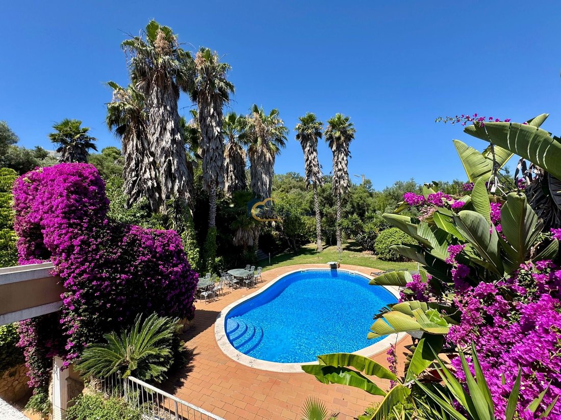 Loule (Sao Sebastiao), Algarve, Portugal 1 - 15907055