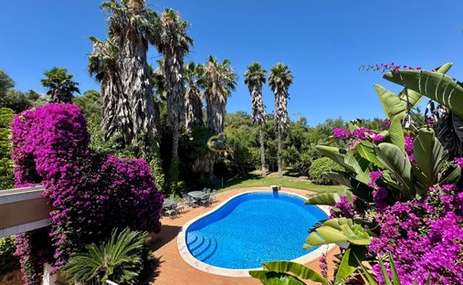 Loule (Sao Sebastiao), Algarve, Portugal 1