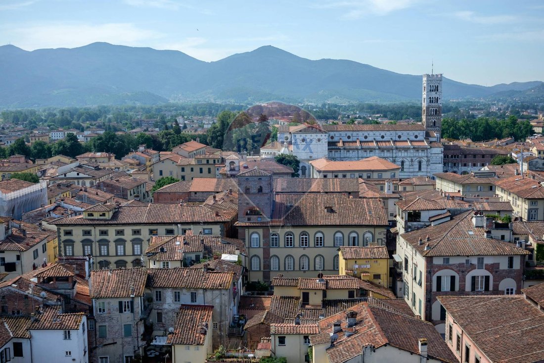 Altro a Lucca, Toscana, Italia 2 - 15910030