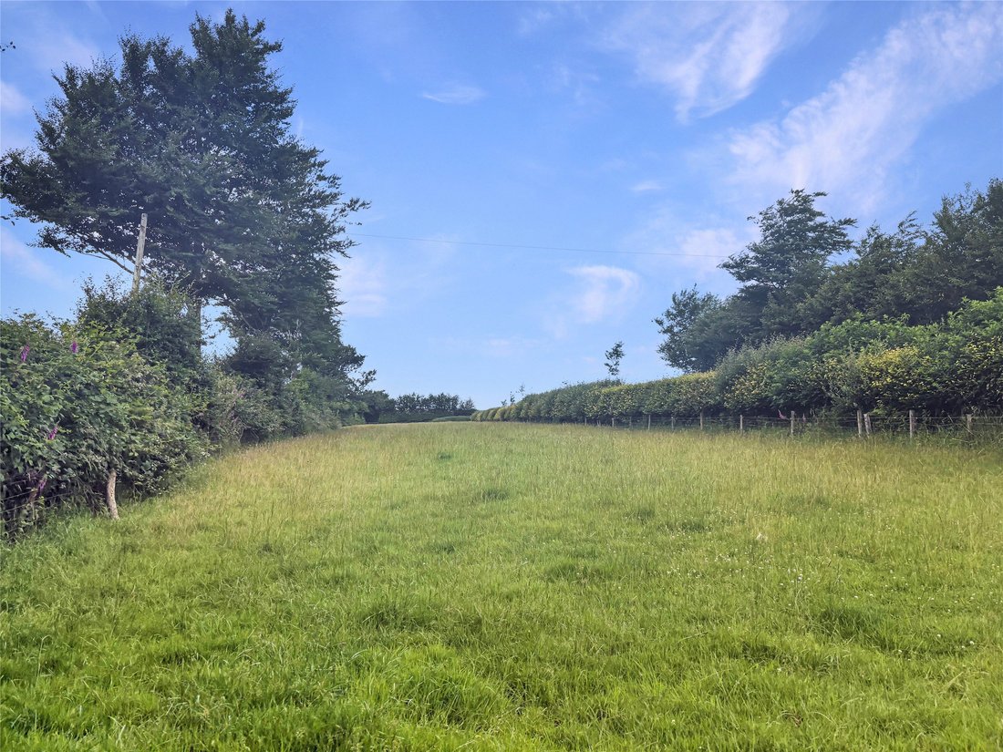 Land in Exmoor, Exford, England 4 - 15909043