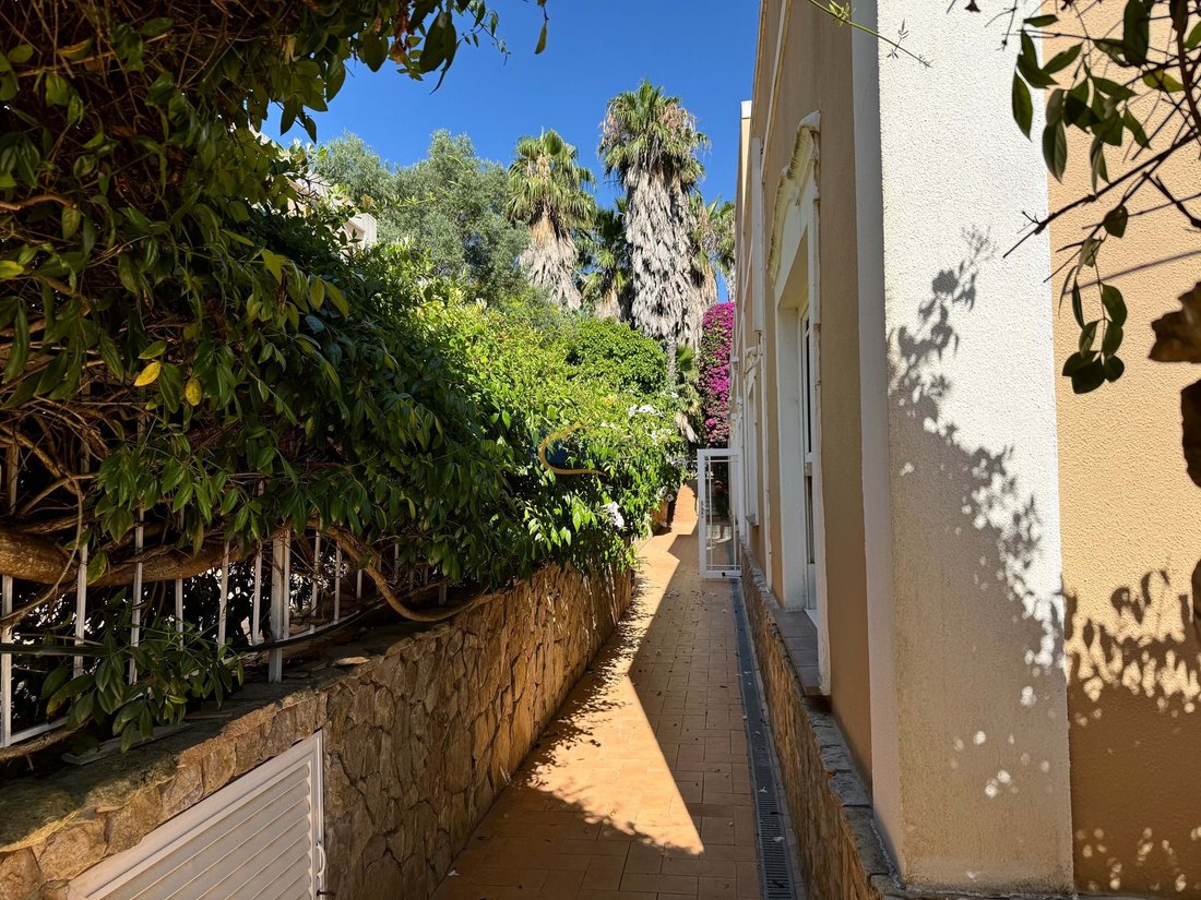 Loule (Sao Sebastiao), Algarve, Portugal 3 - 15907055