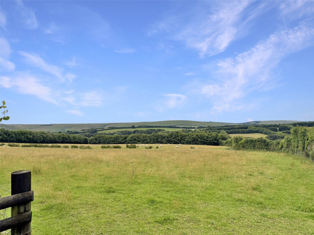Land in Exmoor, Exford, England 1 - 15909043