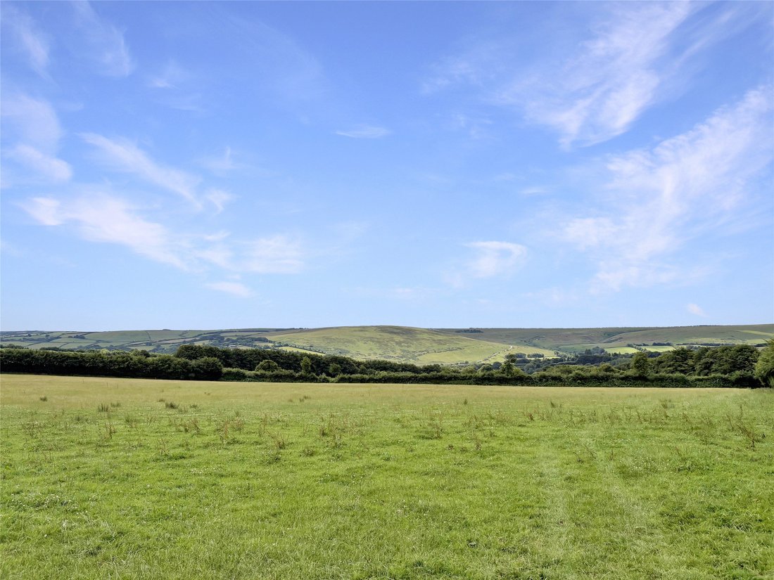 Land in Exmoor, Exford, England 2 - 15909043