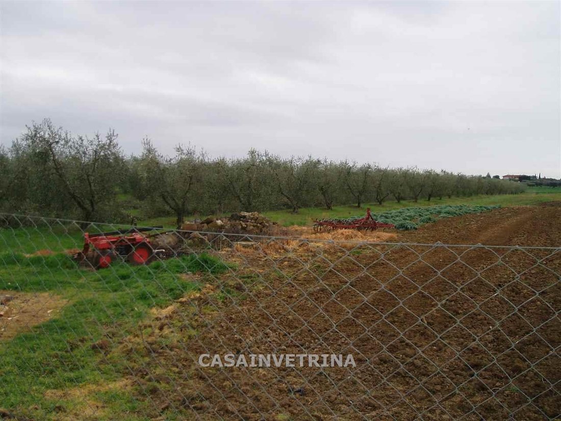 Villa in Center, Grosseto, Tuscany 4 - 15907737