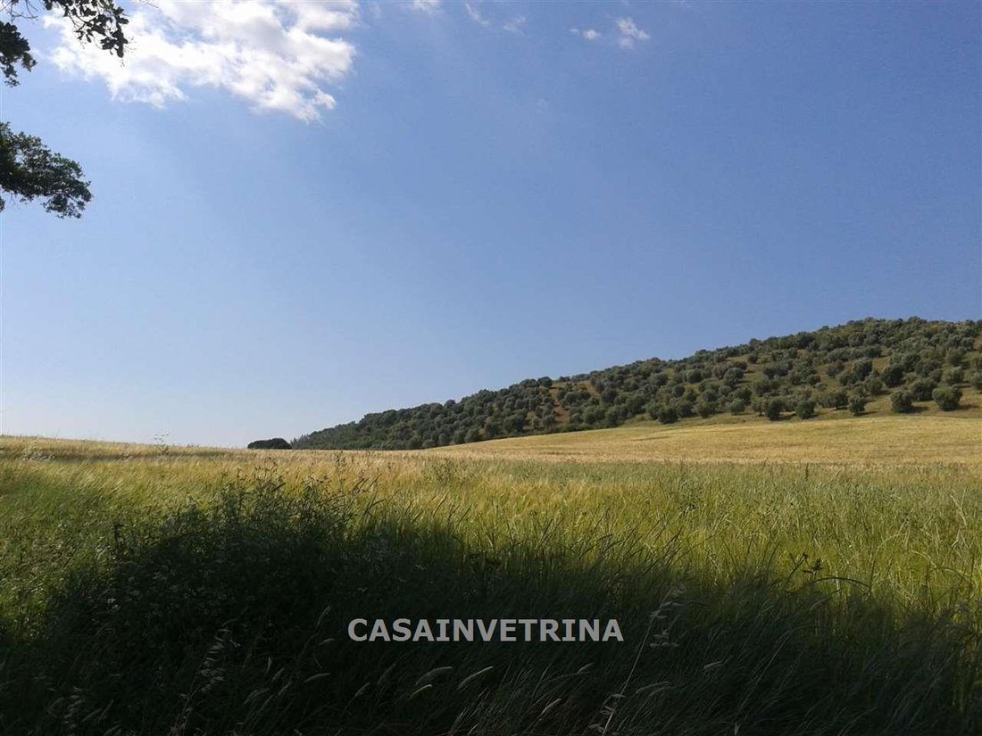 Country House in Campagnatico, Tuscany, Italy 3 - 15908391