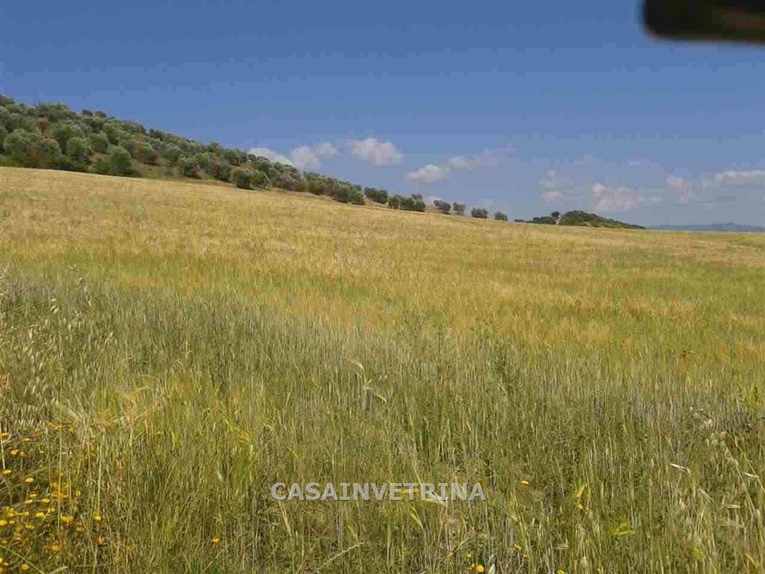 Country House in Campagnatico, Tuscany, Italy 5 - 15908391