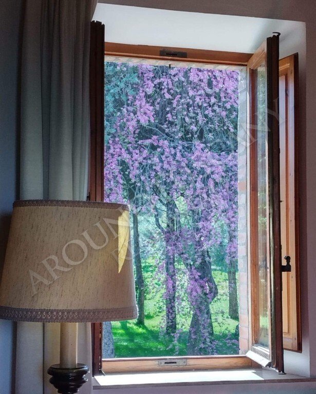 Estate in Cetona, Tuscany, Italy 2 - 15907655
