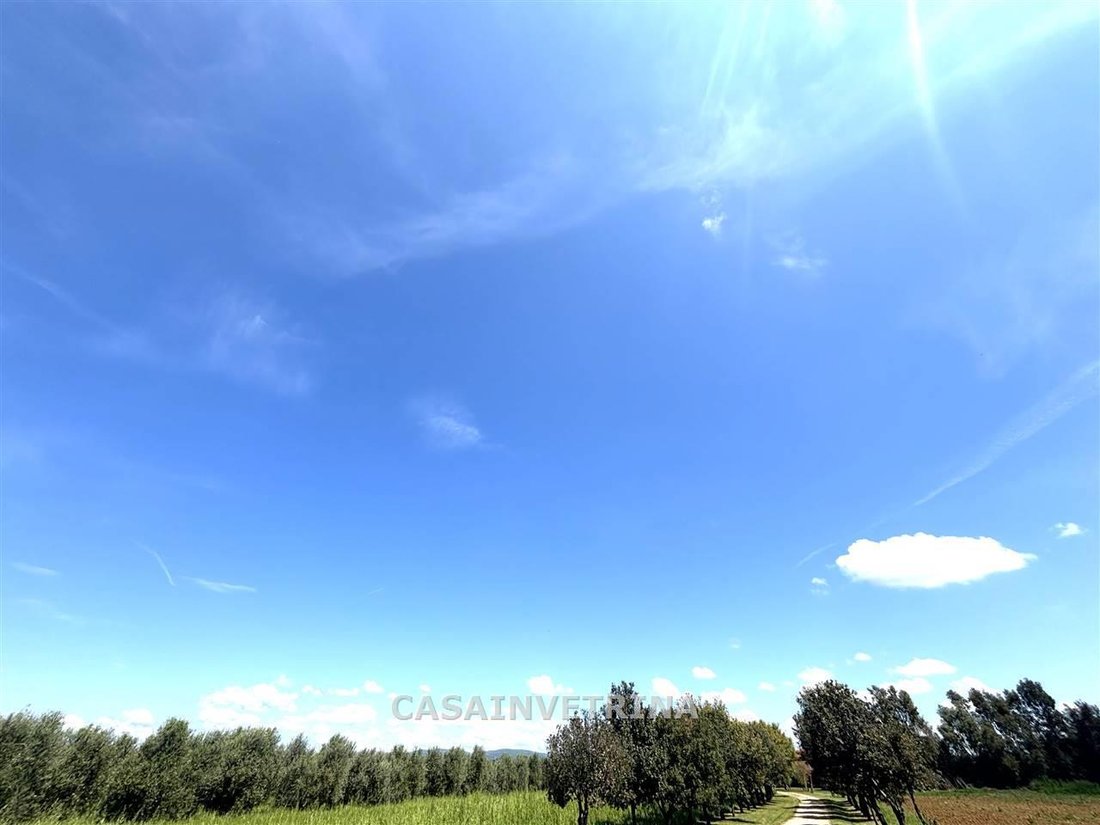 House in Roccastrada, Tuscany, Italy 2 - 15909030