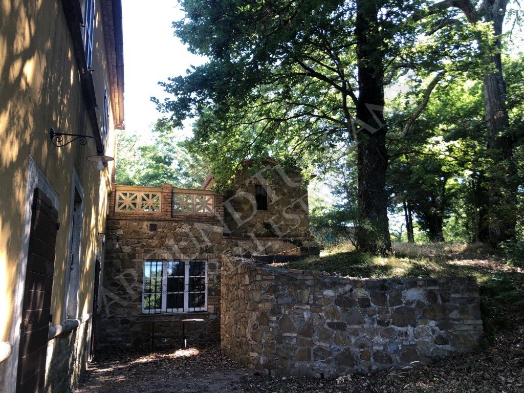 Villa in San Casciano dei Bagni, Tuscany, Italy 4 - 15908015
