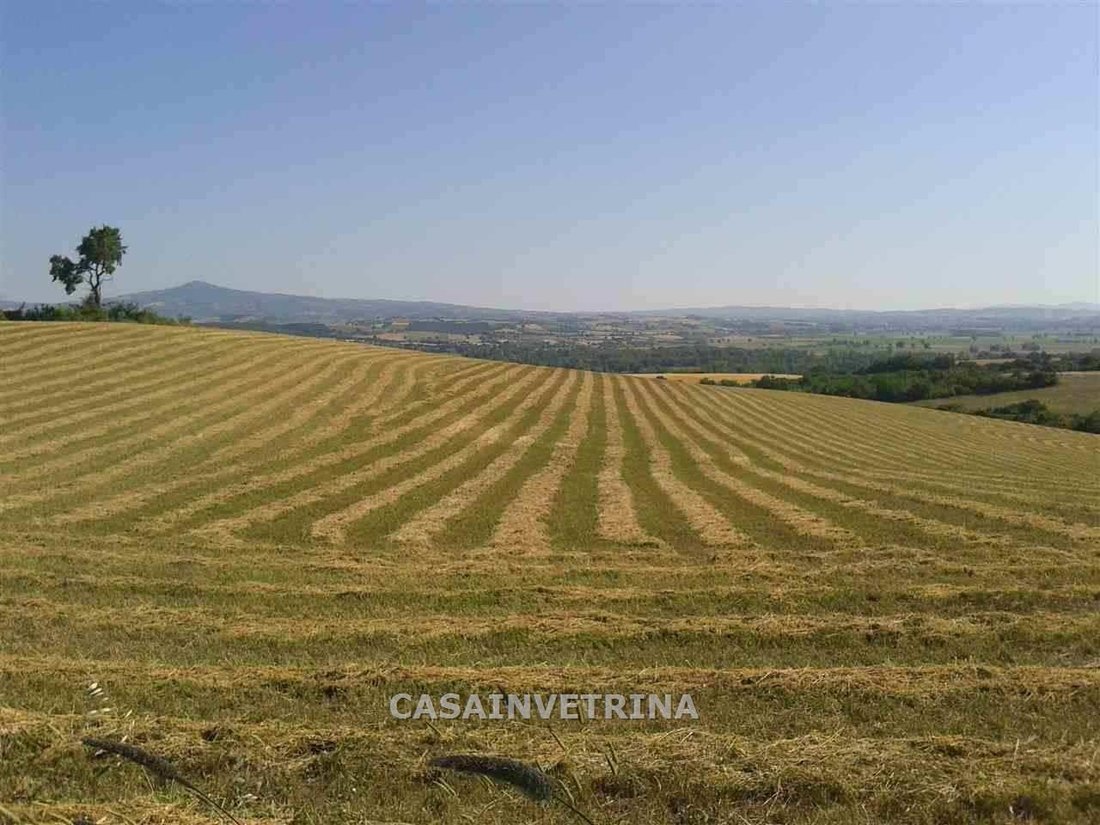 Country House in Campagnatico, Tuscany, Italy 2 - 15908391