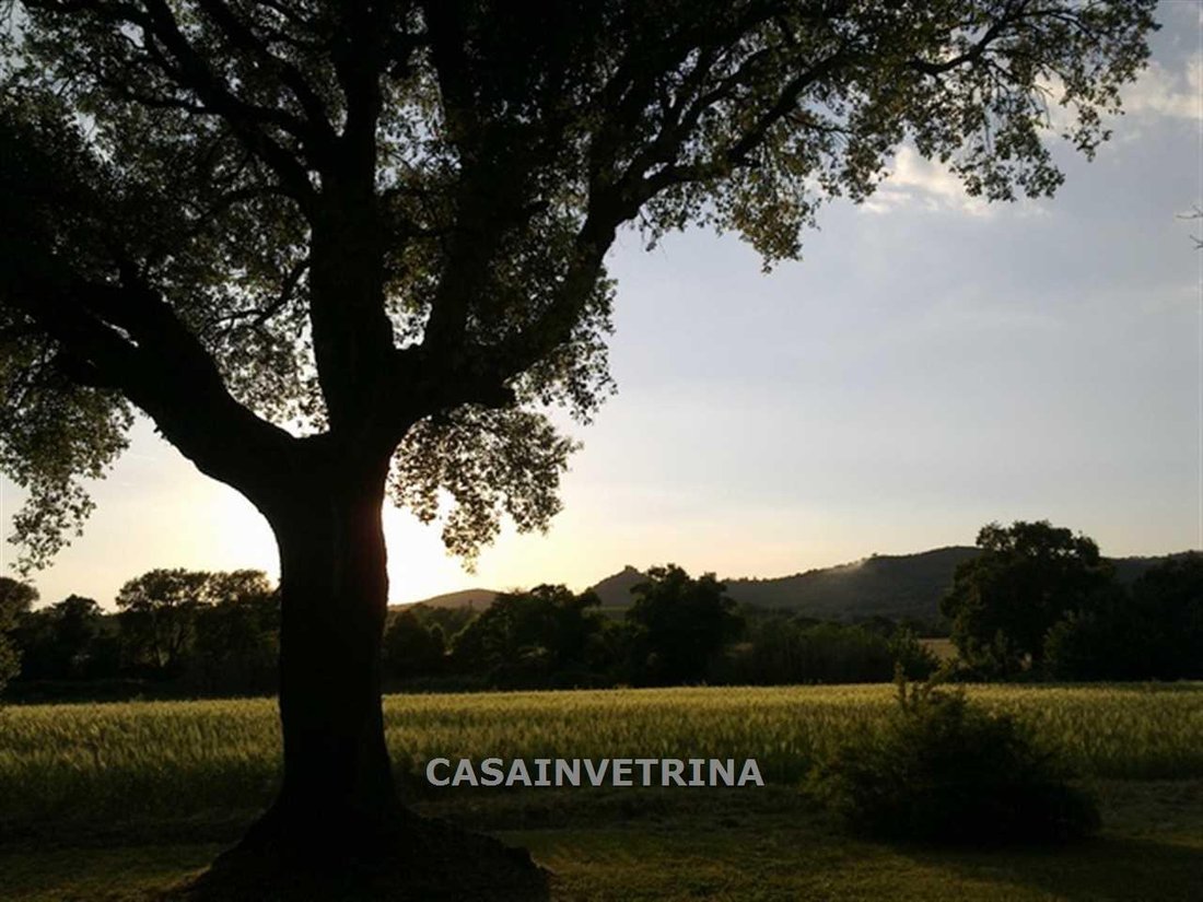 Country House in Roccastrada, Tuscany, Italy 4 - 15908965