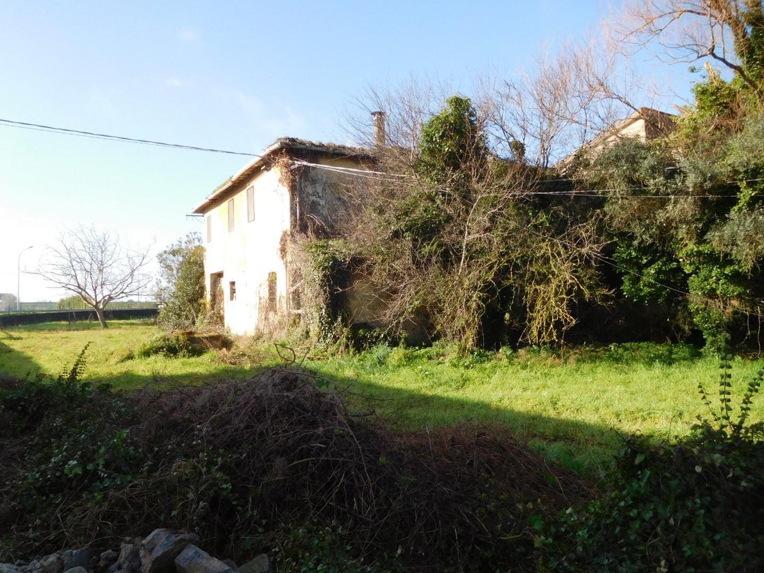 Country House in Vecchiano, Tuscany, Italy 5 - 15909408