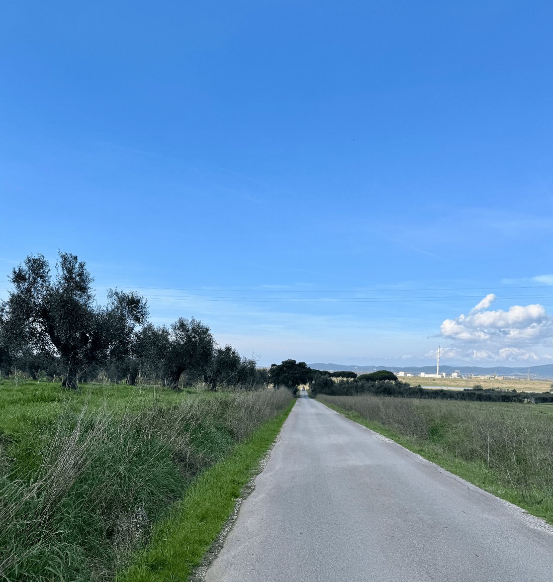 Country House in Scarlino, Tuscany, Italy 2 - 15907777