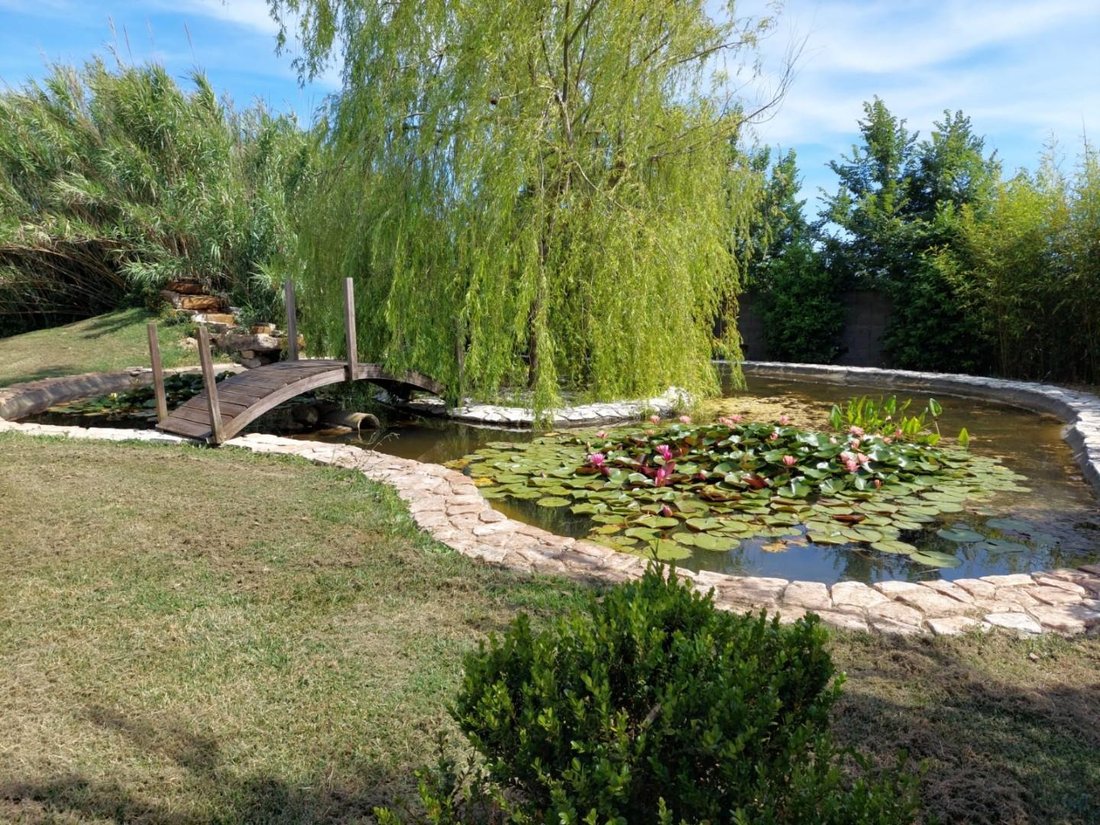 Country House in Center, Cascina, Tuscany 5 - 15909337