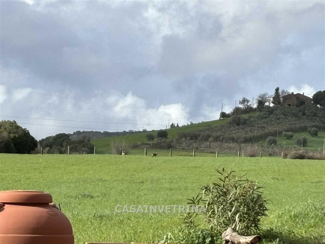 Country House in Campagnatico, Tuscany, Italy 4 - 15908987
