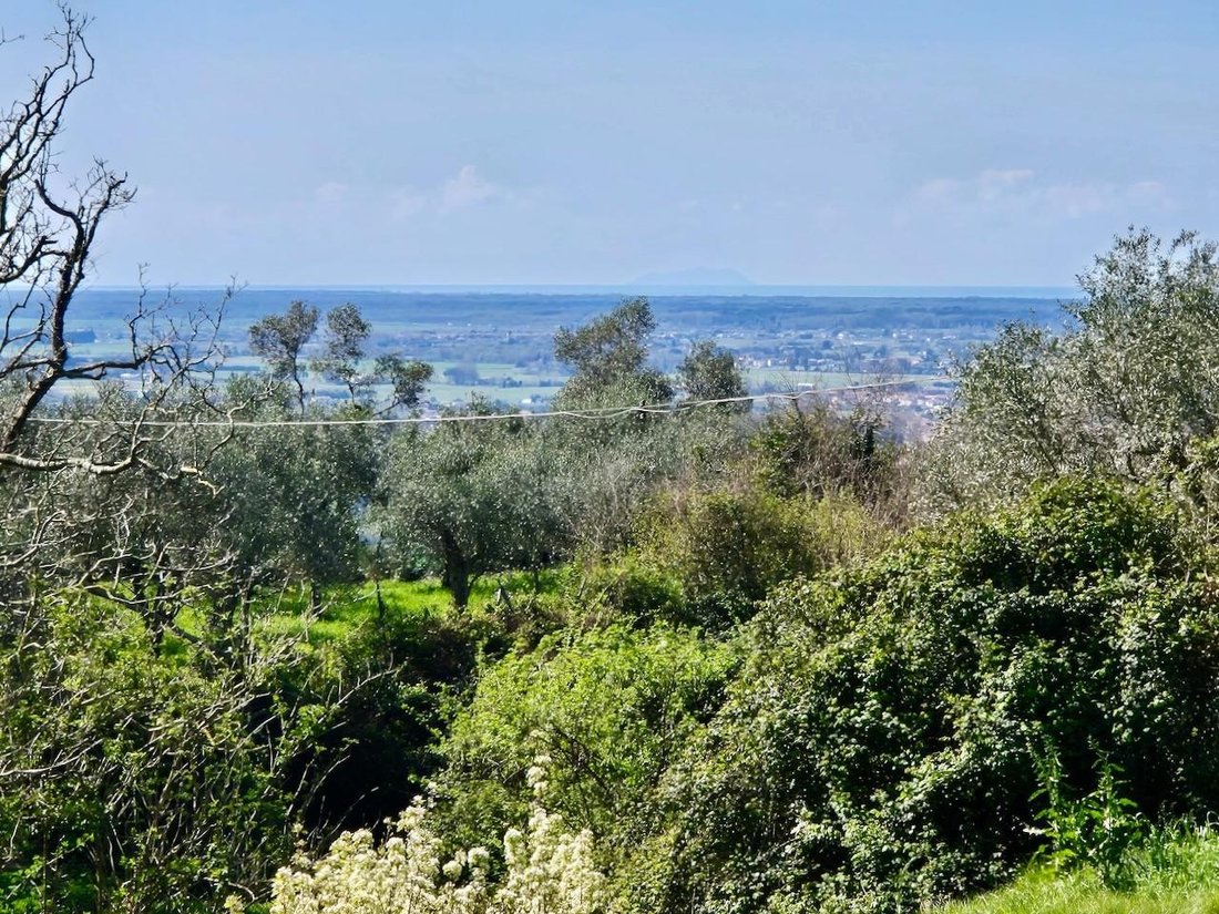 Country House in San Giuliano Terme, Tuscany, Italy 5 - 15909064