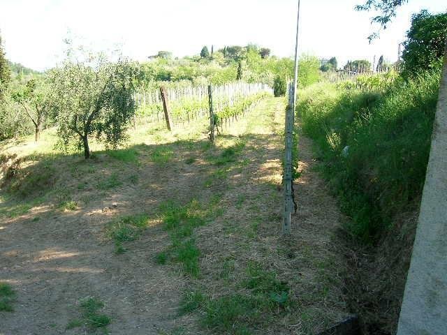 Country House in Palaia, Tuscany, Italy 3 - 15909156