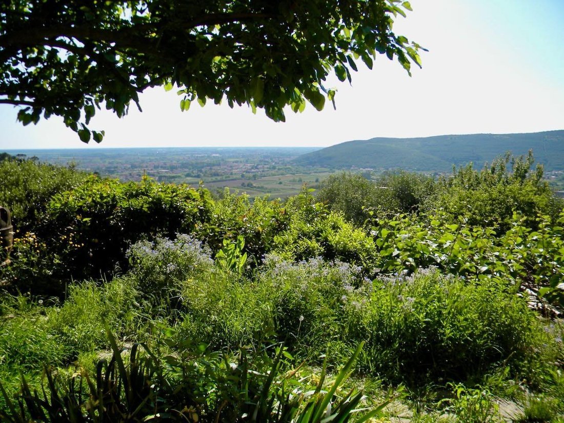 Country House in San Giuliano Terme, Tuscany, Italy 5 - 15909170