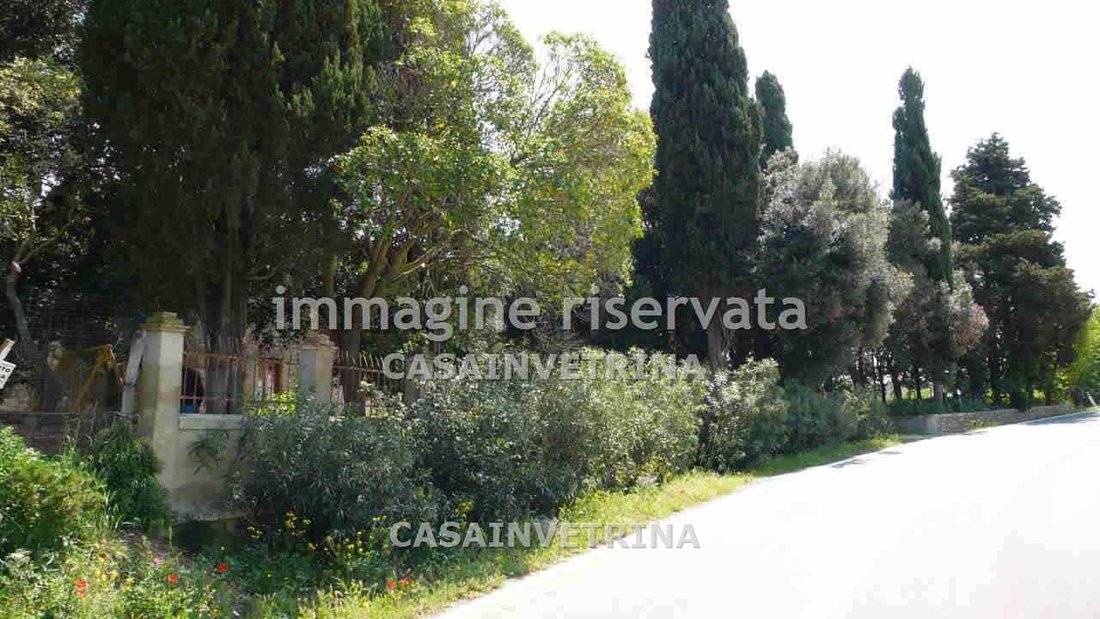Villa in Scansano, Tuscany, Italy 5 - 15908466