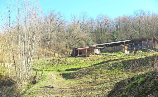 Licci Castle A Private Hidden Tuscan Ancient Castle By Dimore Camisa