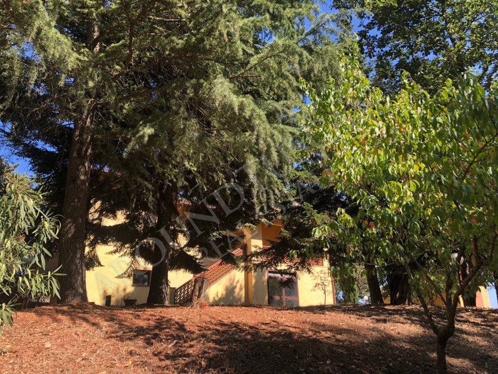 Country House in San Casciano dei Bagni, Tuscany, Italy 4 - 15908417