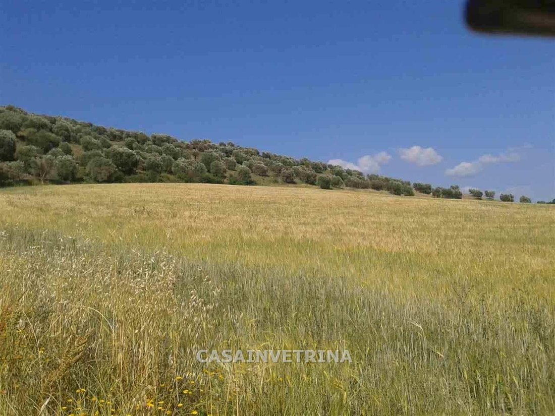 Country House in Campagnatico, Tuscany, Italy 4 - 15908391